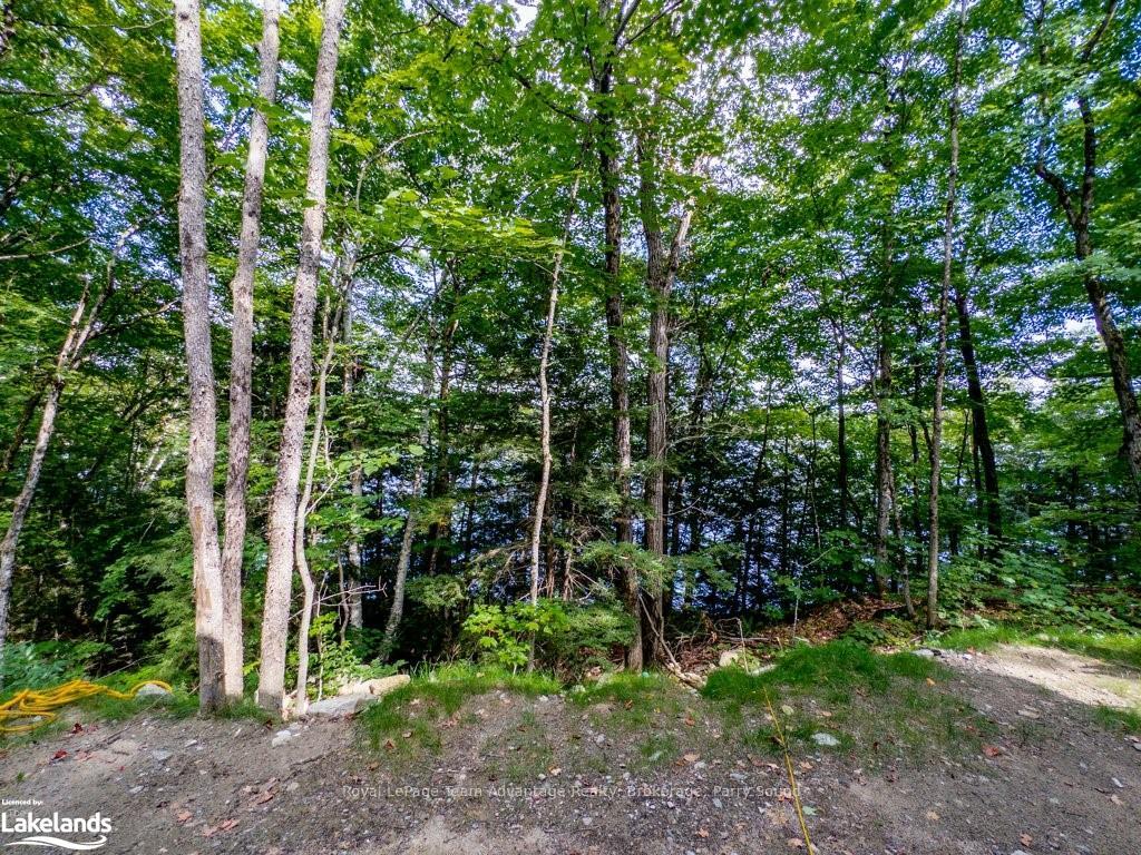 Photo 23 of 16 Long & Winding Road, Seguin — HOMEH