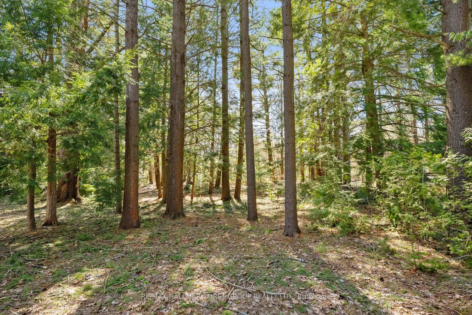 Photo 20 of 3070 Sparrow Lake Road S, Severn, Rural Severn — HOMEH
