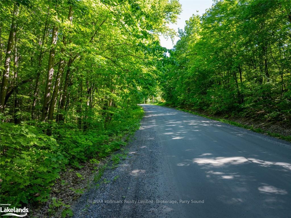 Front of 187B Star Lake Road