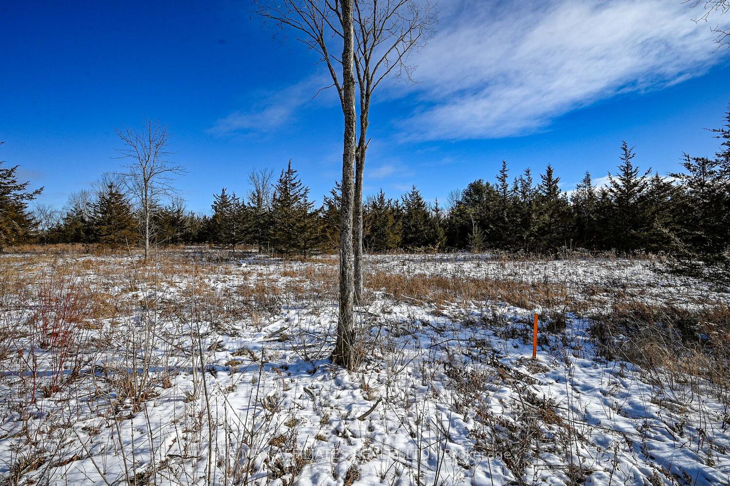 Photo 21 of 00 Lake Street, Rideau Lakes, Rideau Lakes (Bastard) Twp — HOMEH