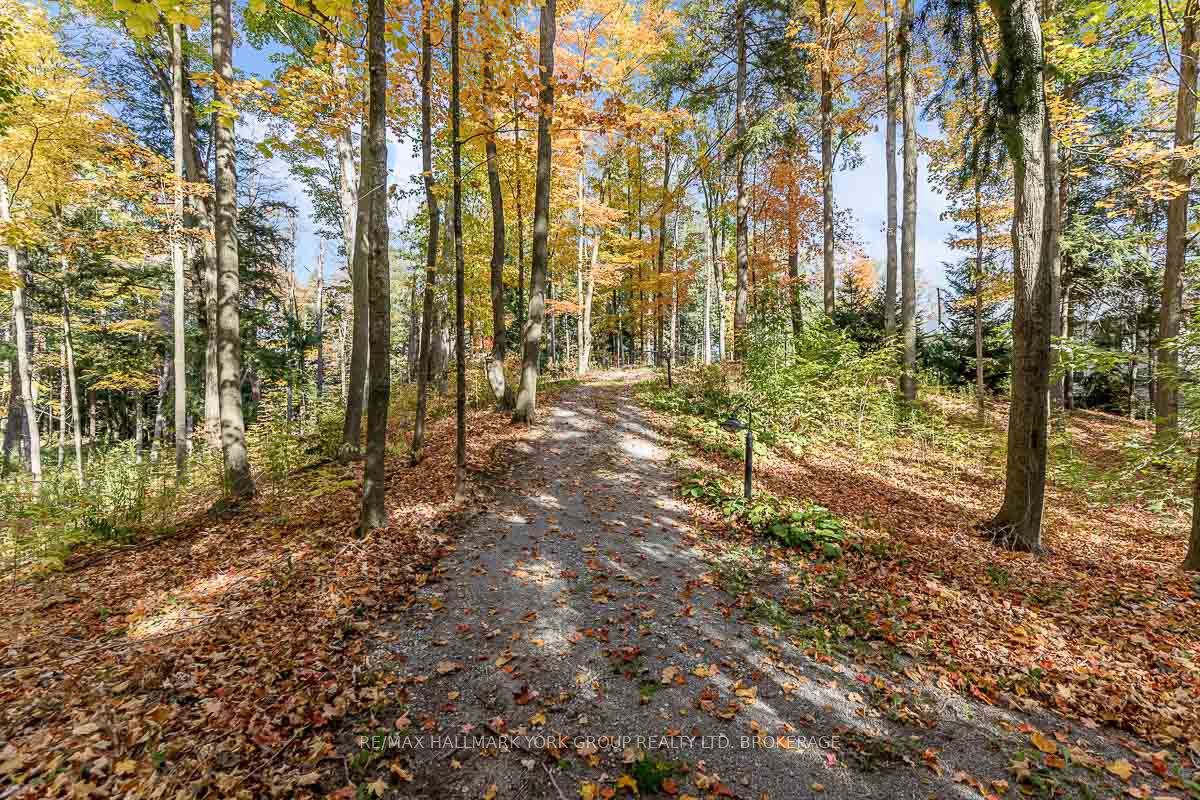 Photo 43 of 12800 8TH Concession Rd, King, Nobleton — HOMEH