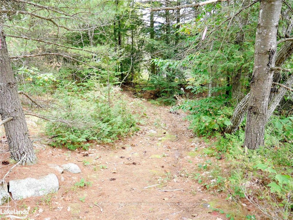 Photo 9 of Mccoy Lake, Seguin — HOMEH