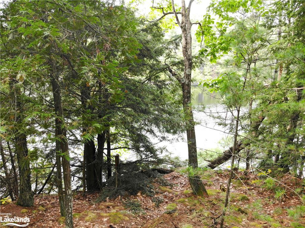 Photo 10 of Mccoy Lake, Seguin — HOMEH