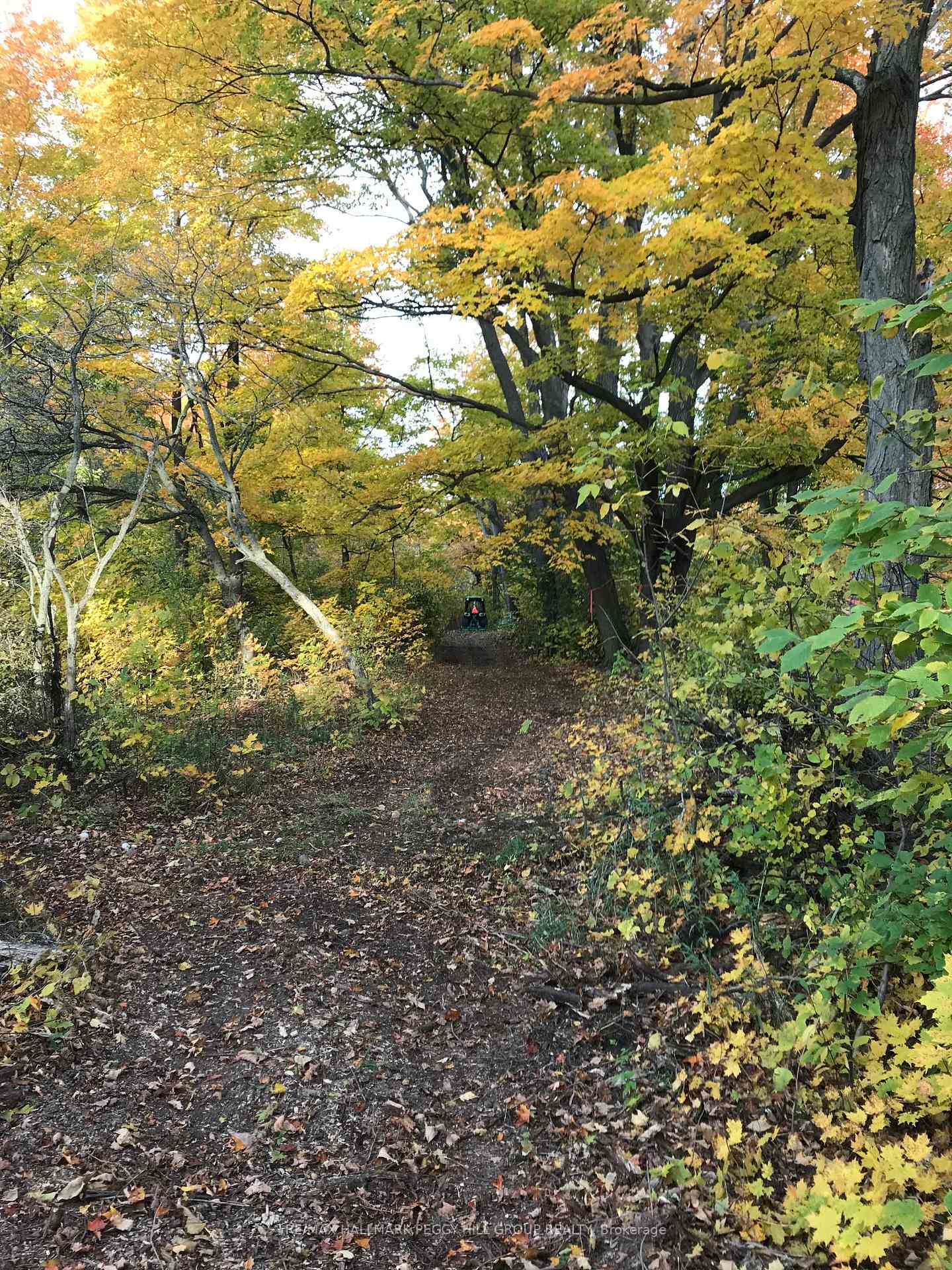 Photo 36 of 3237 Brennan Line, Severn, Rural Severn — HOMEH