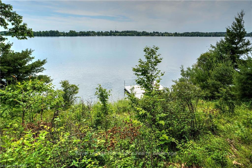 Photo 7 of LT 25 Upper Rideau Lake, Rideau Lakes, Rideau Lakes (North Crosby) Twp — HOMEH