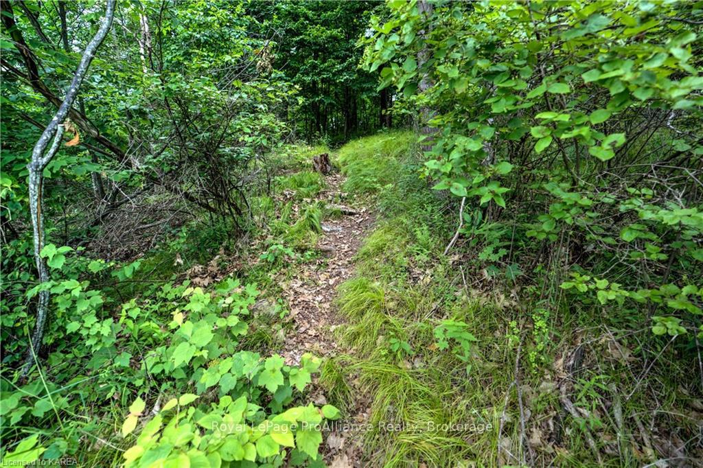 Photo 9 of LT 25 Upper Rideau Lake, Rideau Lakes, Rideau Lakes (North Crosby) Twp — HOMEH