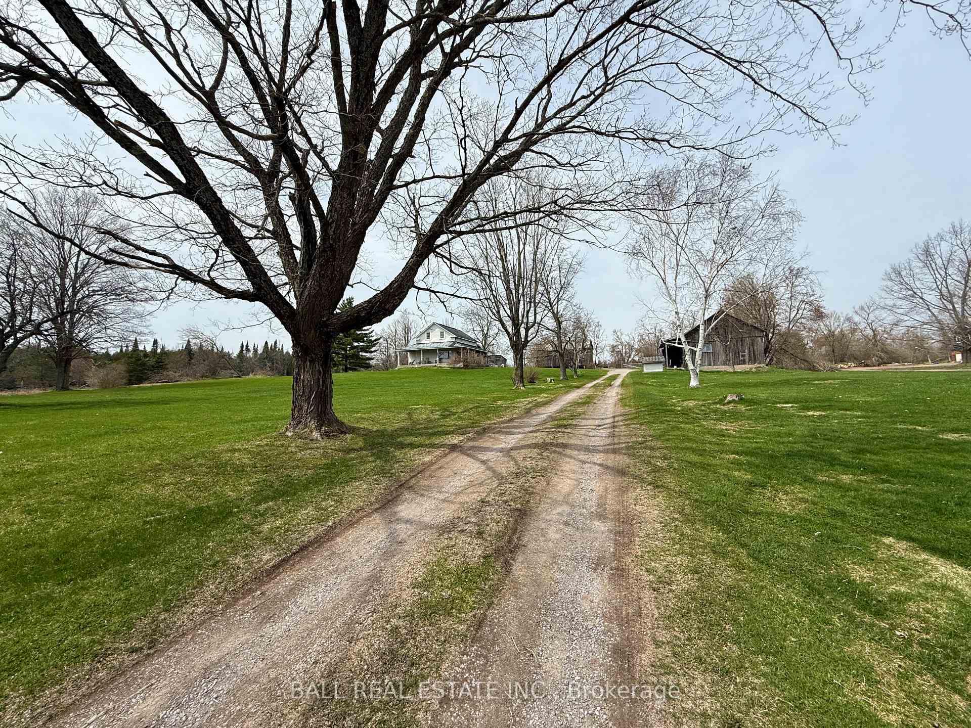 Photo 2 of 2244 12th Line Smith, Selwyn — HOMEH