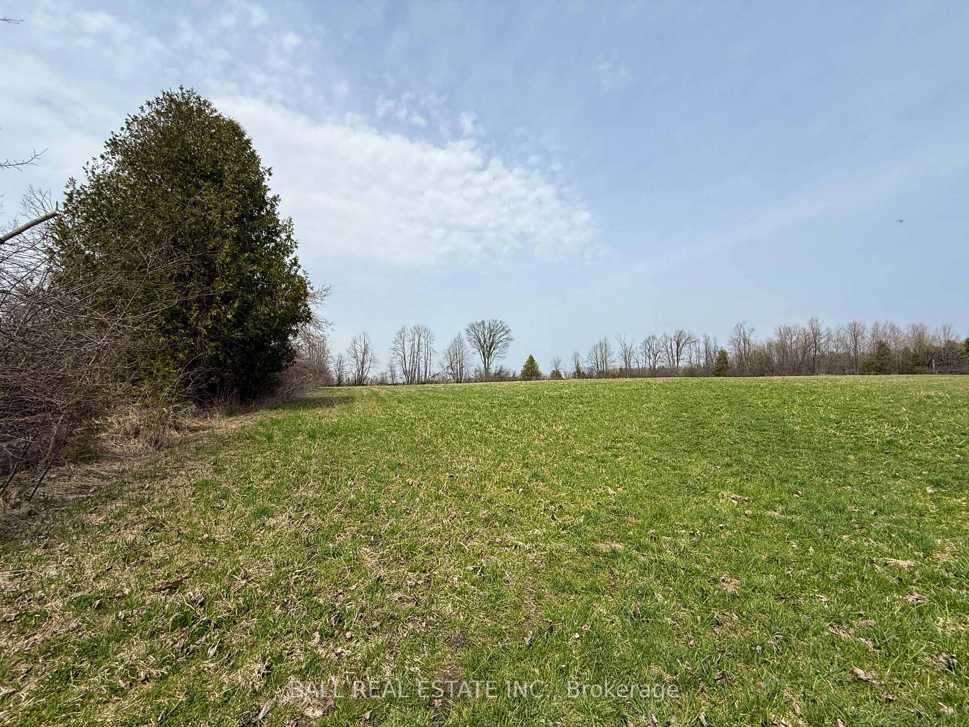 Photo 6 of 2244 12th Line Smith, Selwyn — HOMEH