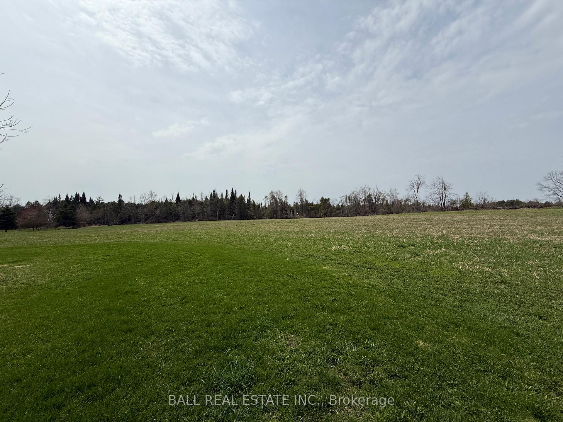 Photo 7 of 2244 12th Line Smith, Selwyn — HOMEH