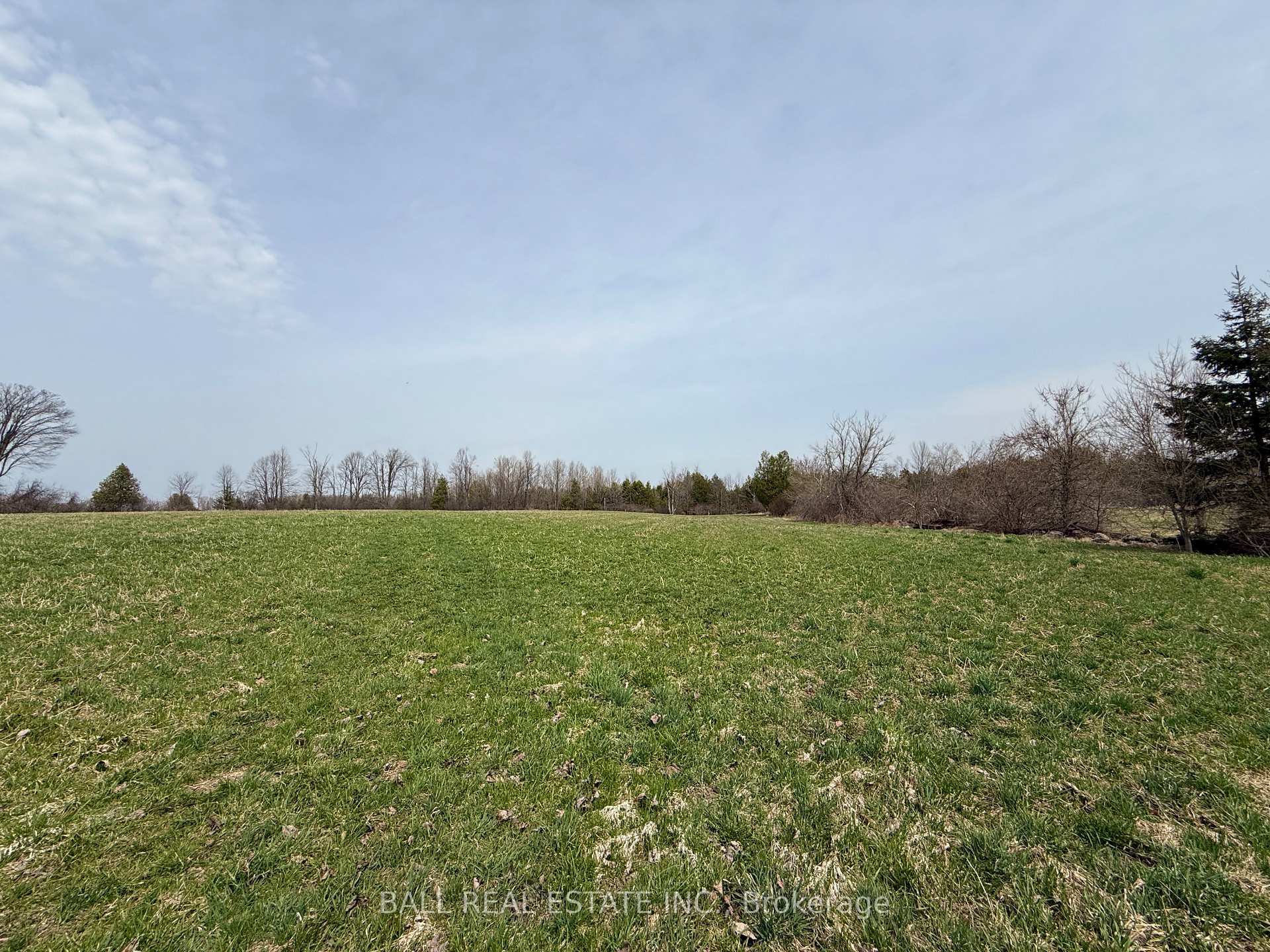 Photo 41 of 2244 12th Line Smith, Selwyn — HOMEH