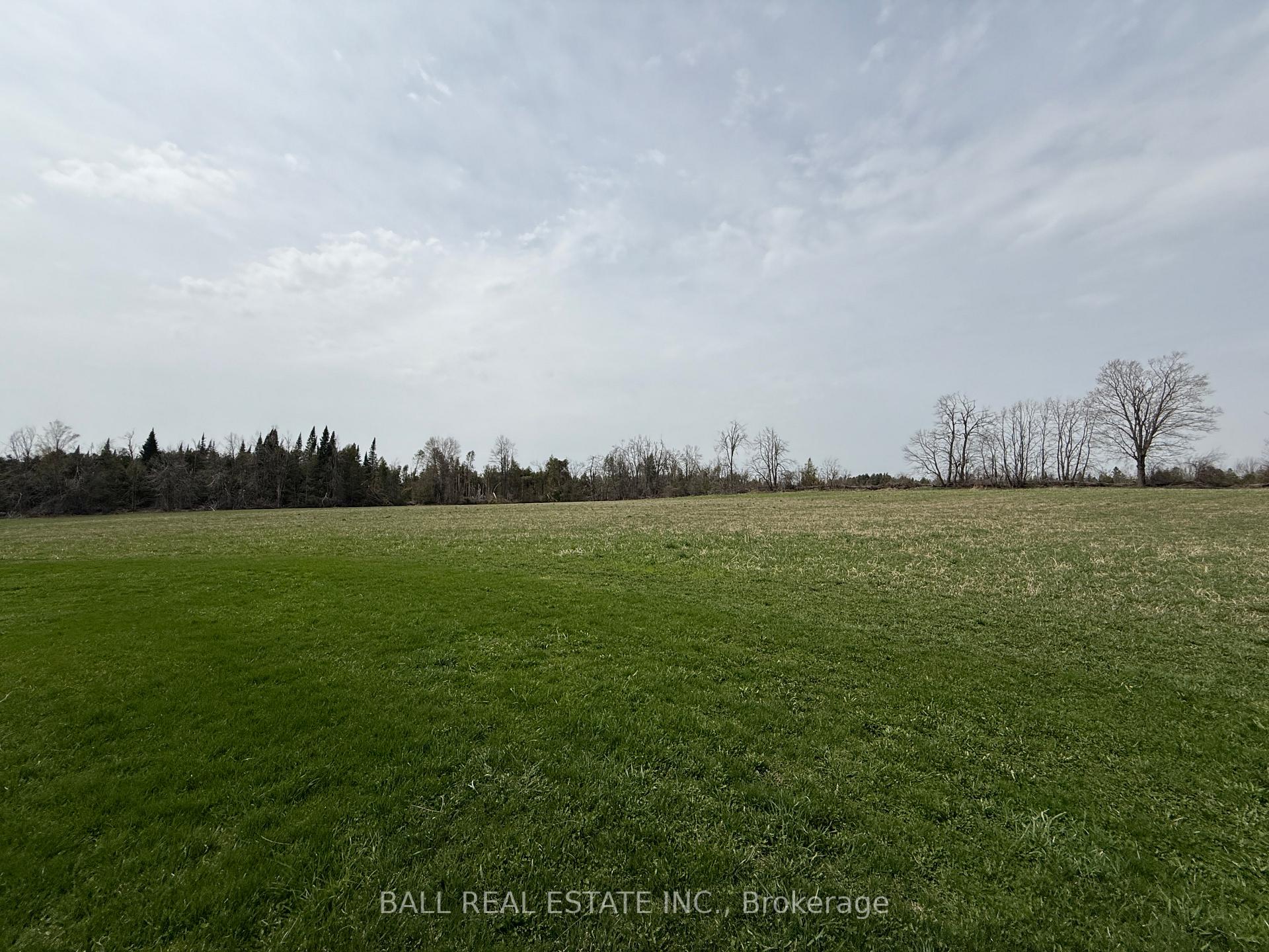 Photo 43 of 2244 12th Line Smith, Selwyn — HOMEH