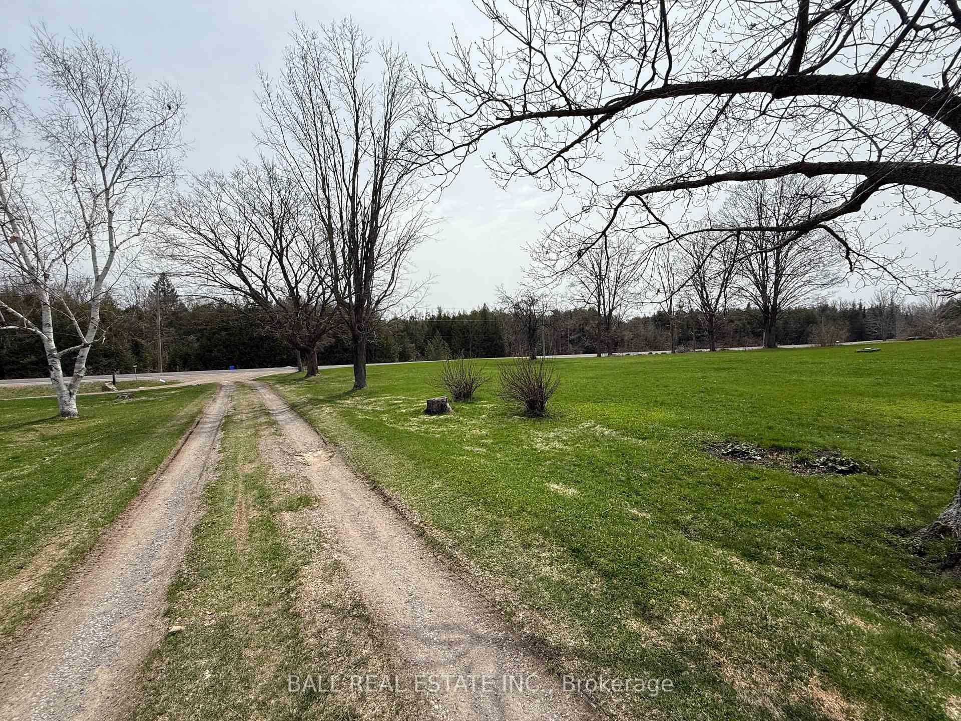 Photo 49 of 2244 12th Line Smith, Selwyn — HOMEH