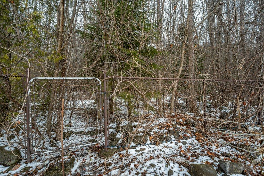 Photo 32 of 42 Stewart Drive, Selwyn — HOMEH