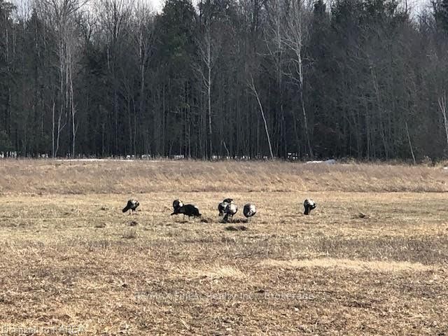 Photo 5 of 65 Sunnyside Road, Rideau Lakes, Rideau Lakes (North Crosby) Twp — HOMEH