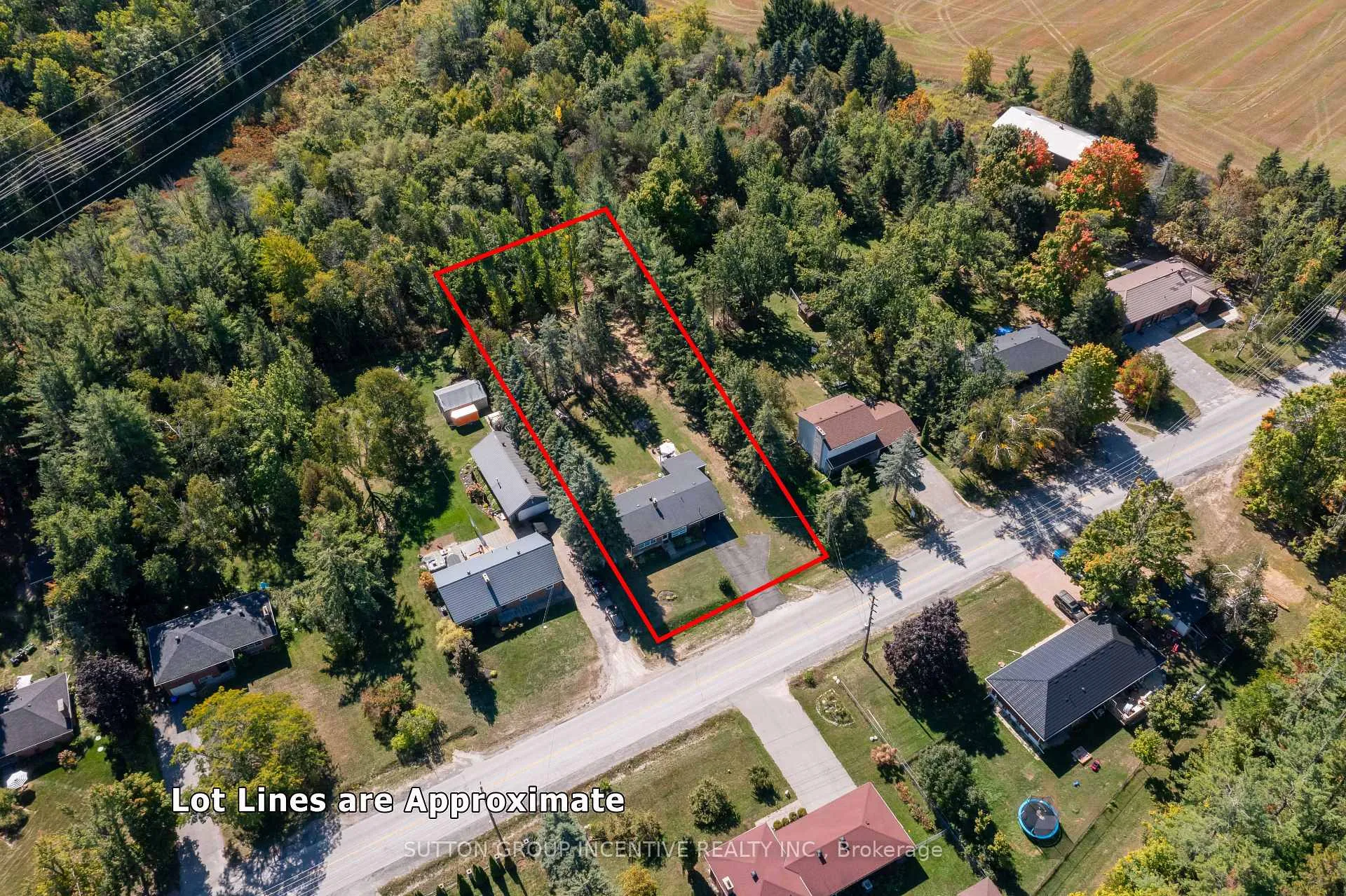 Photo 4 of 1171 Carson Road, Springwater, Midhurst — HOMEH