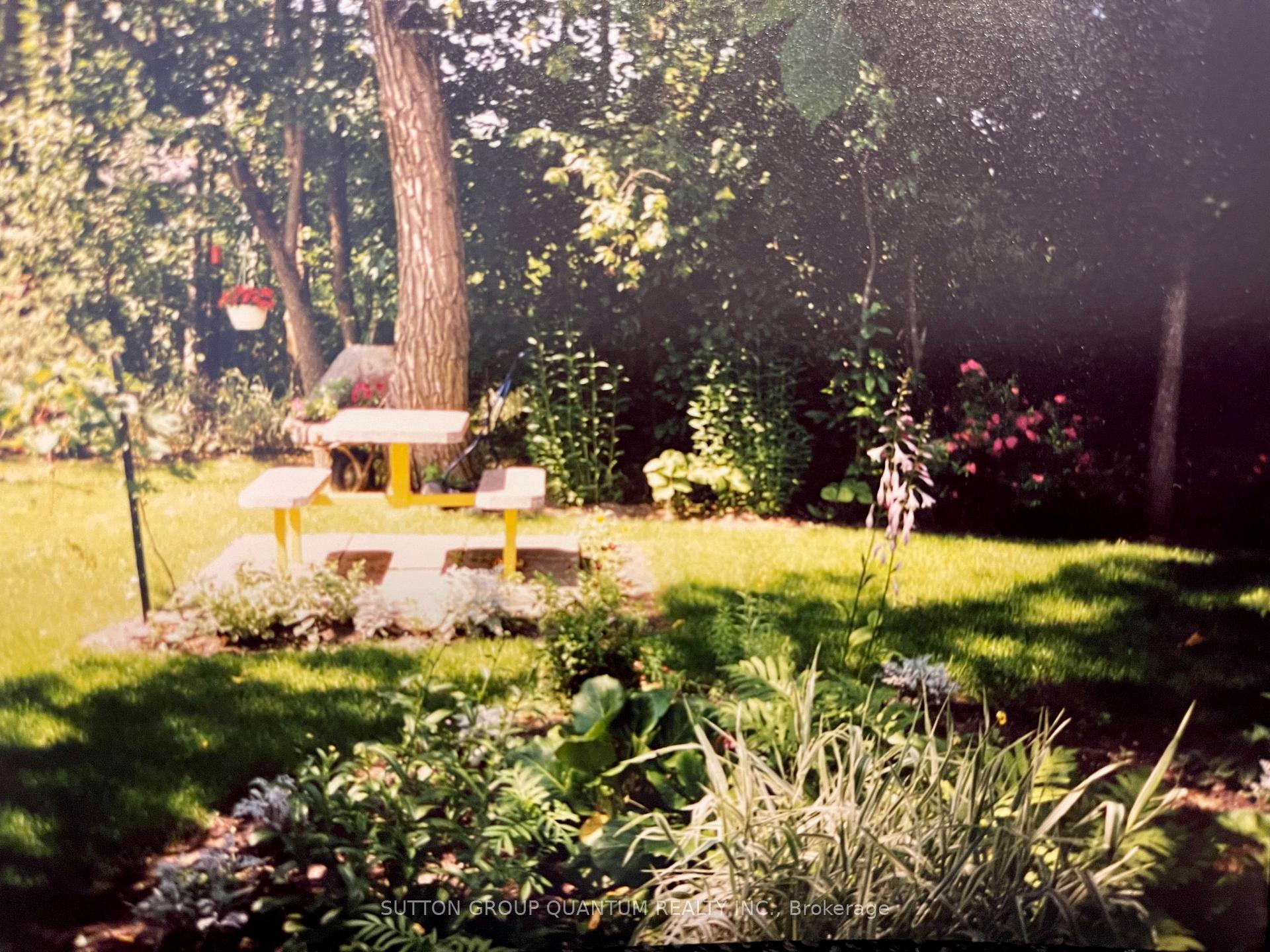 Photo 34 of 34 John Street, Severn, Coldwater — HOMEH