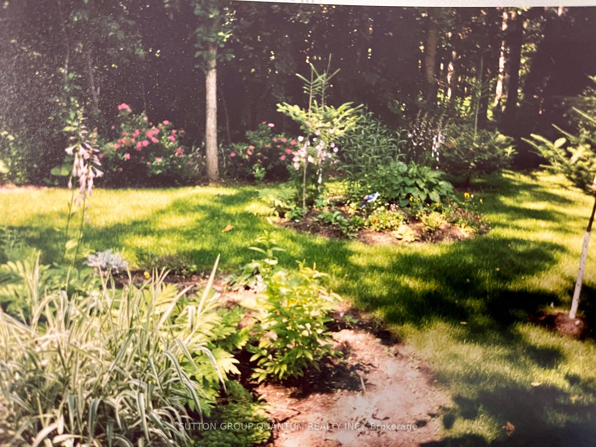 Photo 35 of 34 John Street, Severn, Coldwater — HOMEH