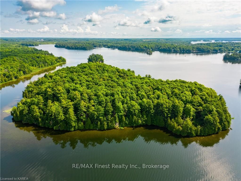 Photo 3 of Partridge, Rideau Lakes, Rideau Lakes (Bastard) Twp — HOMEH