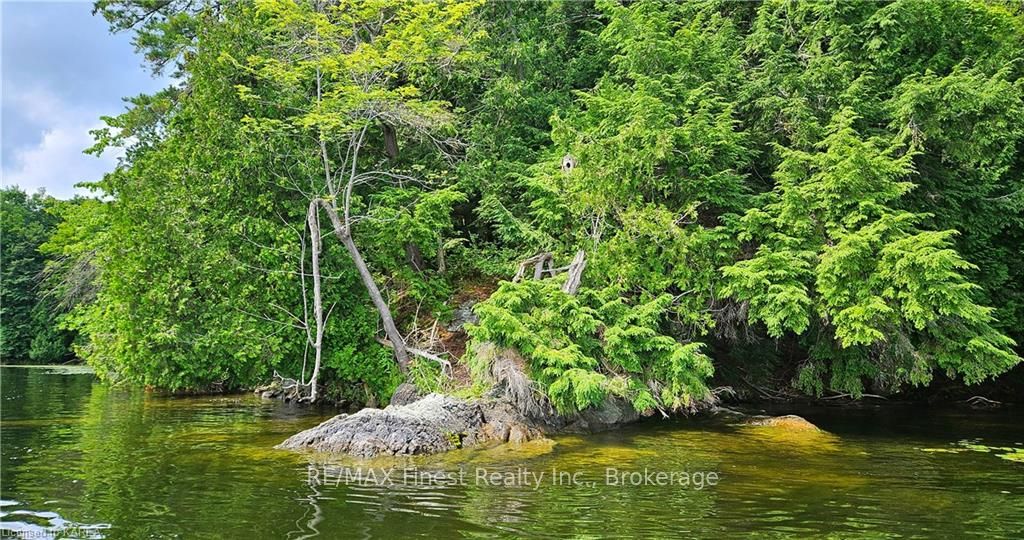 Photo 4 of Partridge, Rideau Lakes, Rideau Lakes (Bastard) Twp — HOMEH