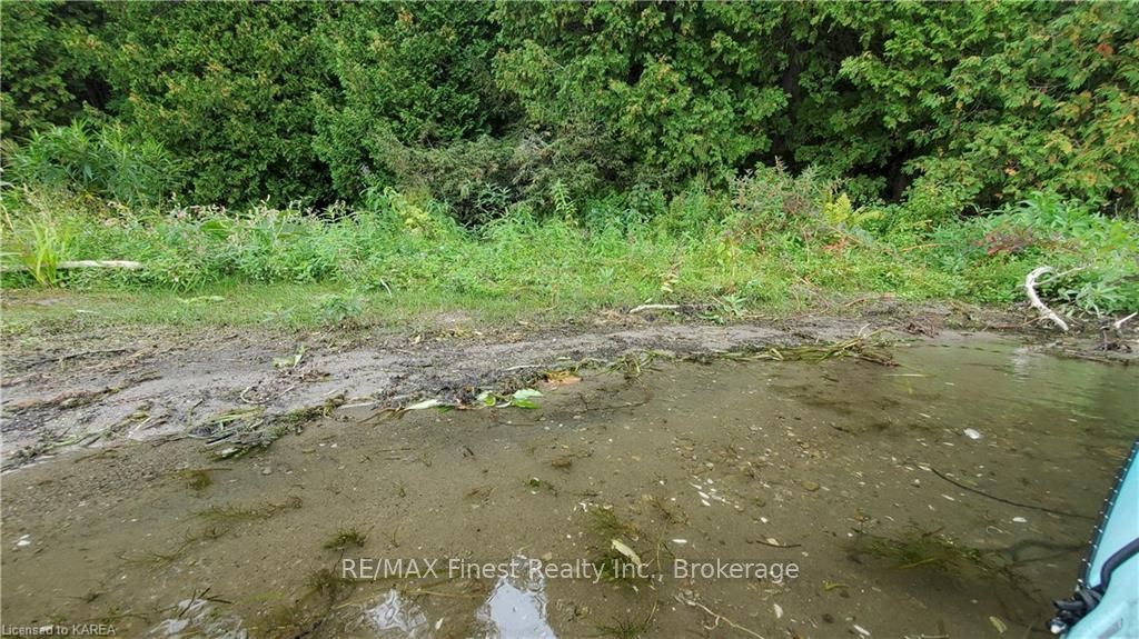 Photo 5 of Partridge, Rideau Lakes, Rideau Lakes (Bastard) Twp — HOMEH