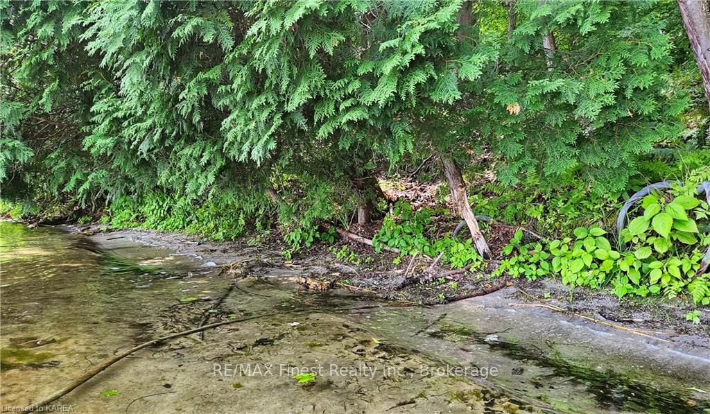 Photo 6 of Partridge, Rideau Lakes, Rideau Lakes (Bastard) Twp — HOMEH