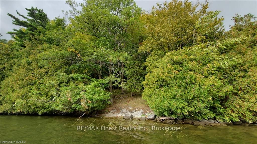 Photo 7 of Partridge, Rideau Lakes, Rideau Lakes (Bastard) Twp — HOMEH