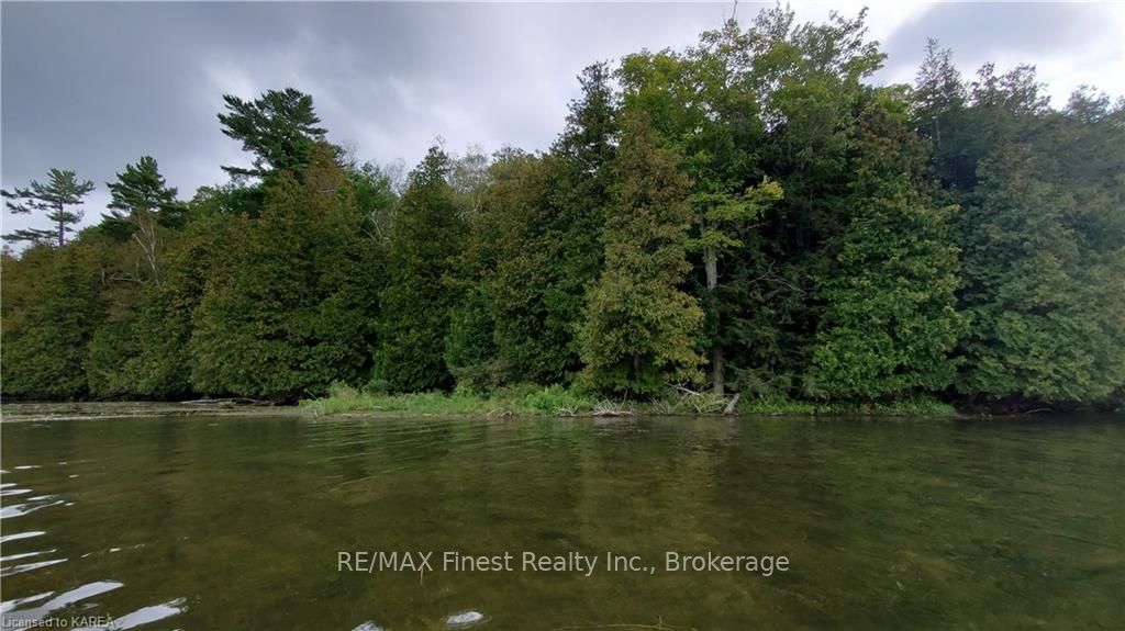 Photo 8 of Partridge, Rideau Lakes, Rideau Lakes (Bastard) Twp — HOMEH