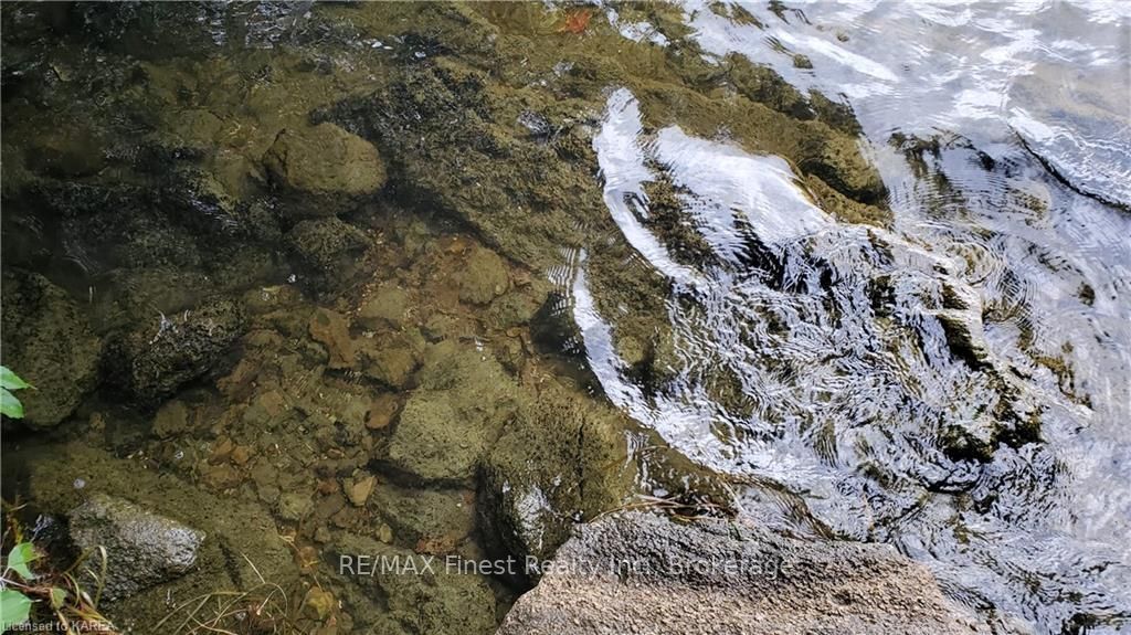 Photo 9 of Partridge, Rideau Lakes, Rideau Lakes (Bastard) Twp — HOMEH