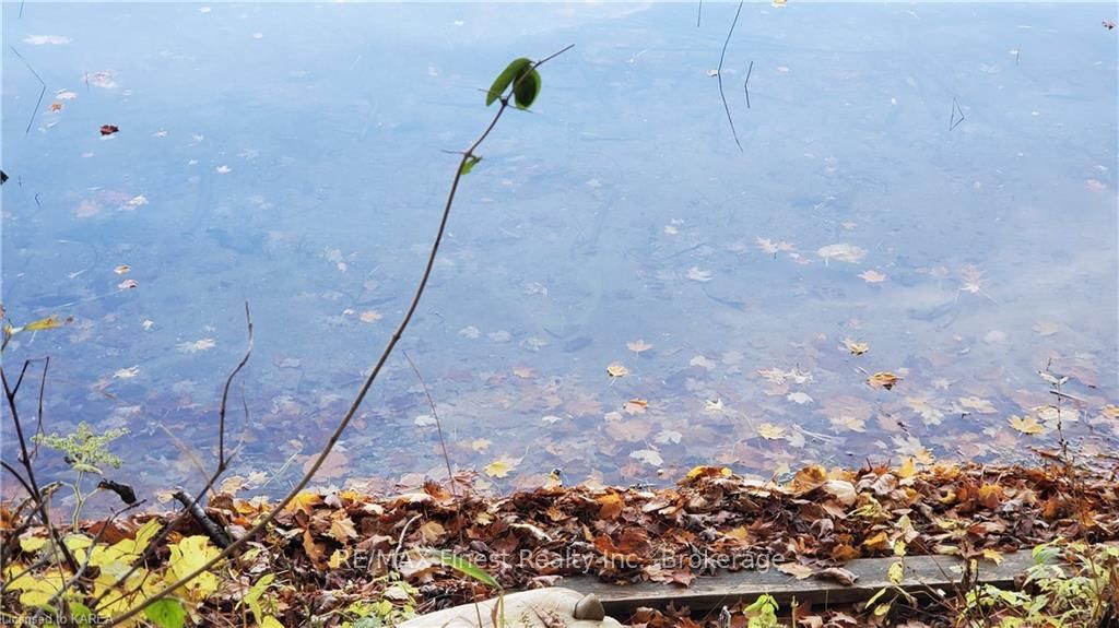 Photo 10 of Partridge, Rideau Lakes, Rideau Lakes (Bastard) Twp — HOMEH