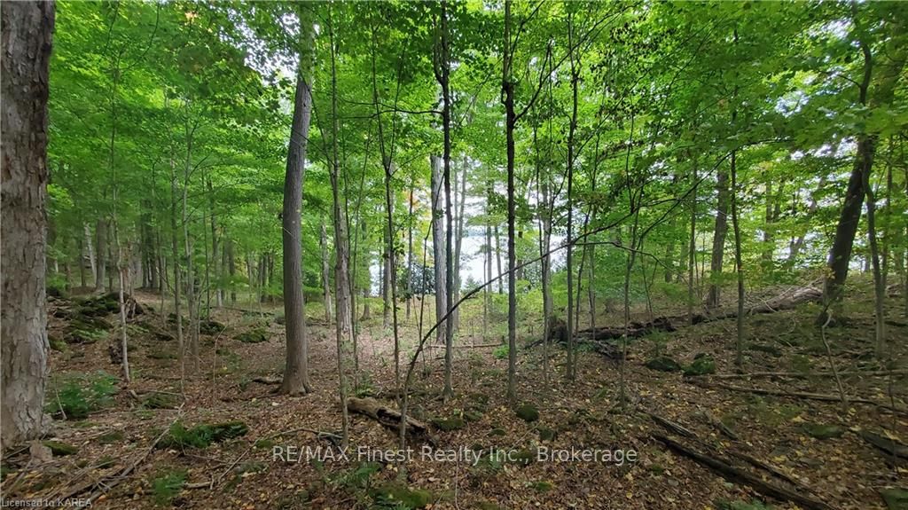 Photo 11 of Partridge, Rideau Lakes, Rideau Lakes (Bastard) Twp — HOMEH