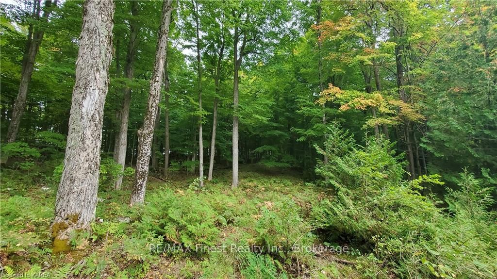 Photo 12 of Partridge, Rideau Lakes, Rideau Lakes (Bastard) Twp — HOMEH