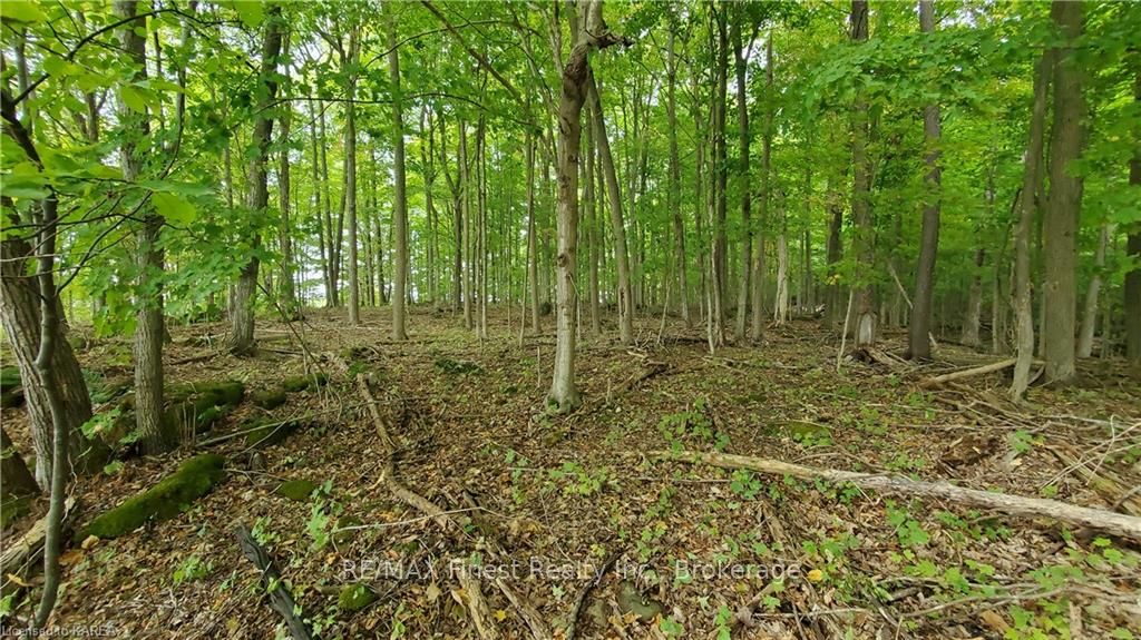 Photo 13 of Partridge, Rideau Lakes, Rideau Lakes (Bastard) Twp — HOMEH