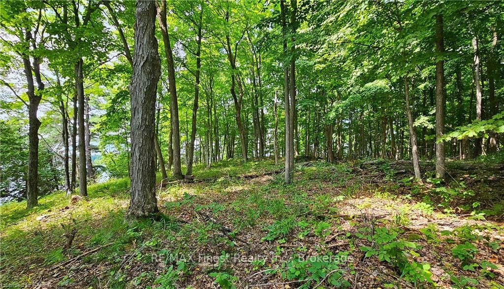 Photo 14 of Partridge, Rideau Lakes, Rideau Lakes (Bastard) Twp — HOMEH