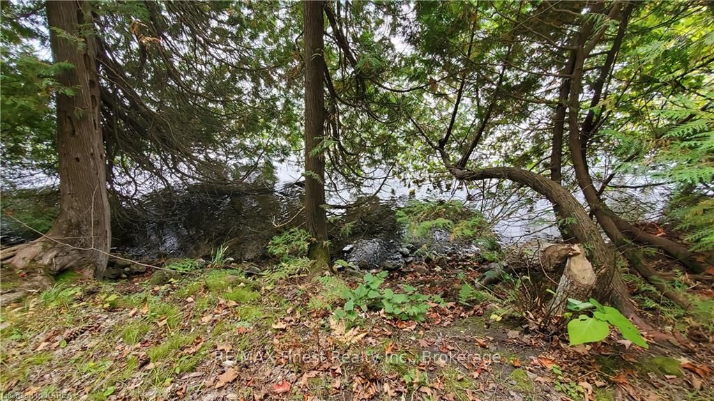 Photo 15 of Partridge, Rideau Lakes, Rideau Lakes (Bastard) Twp — HOMEH