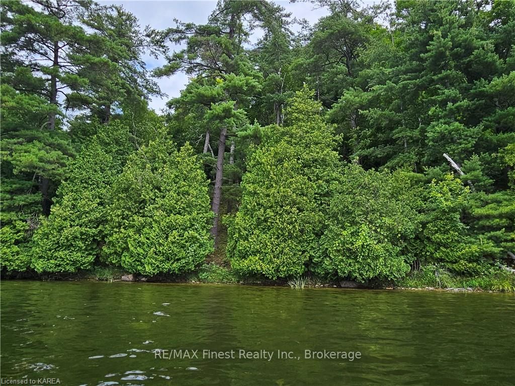 Photo 16 of Partridge, Rideau Lakes, Rideau Lakes (Bastard) Twp — HOMEH