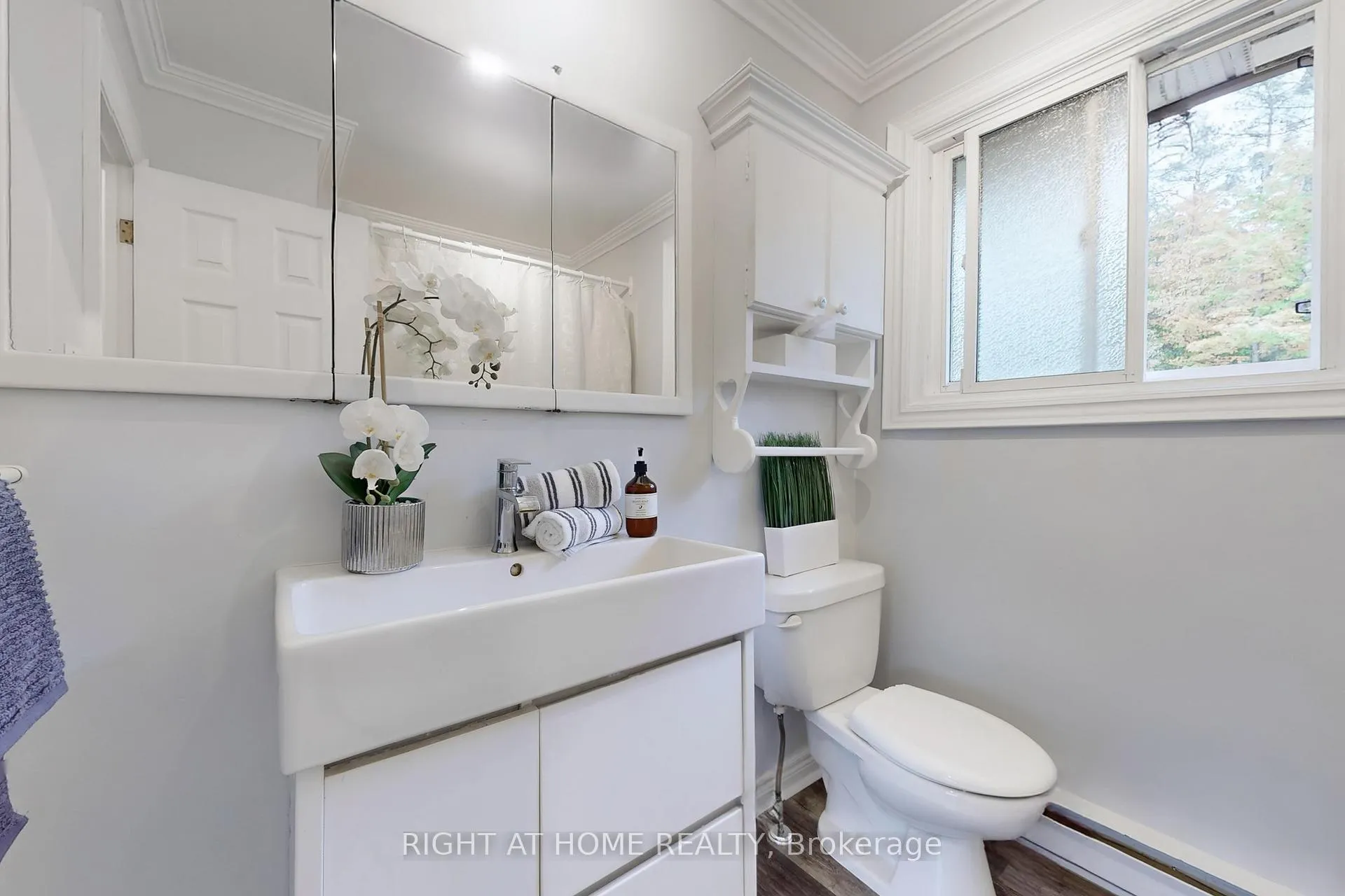 Photo 10 of 1243 Crossland Road, Springwater, Rural Springwater — HOMEH