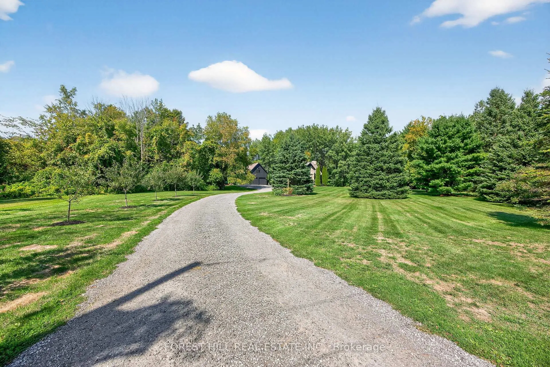 Photo 6 of 3328 Flos Road 6 W, Springwater, Rural Springwater — HOMEH