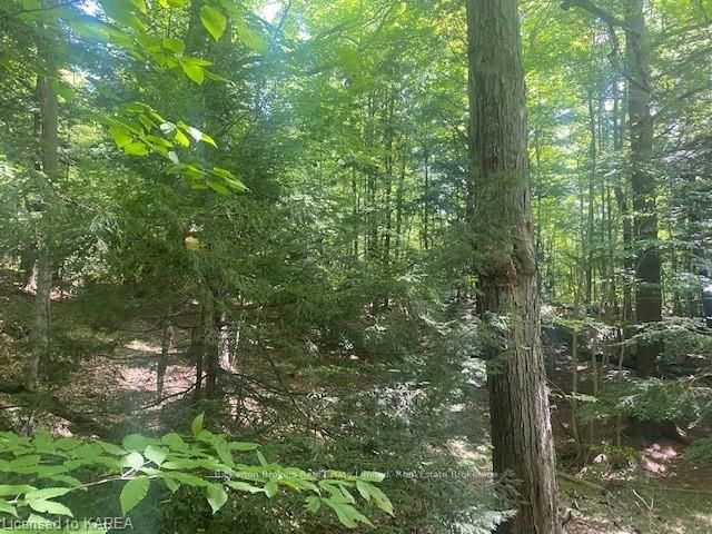 Front of LOT Jones Falls Road