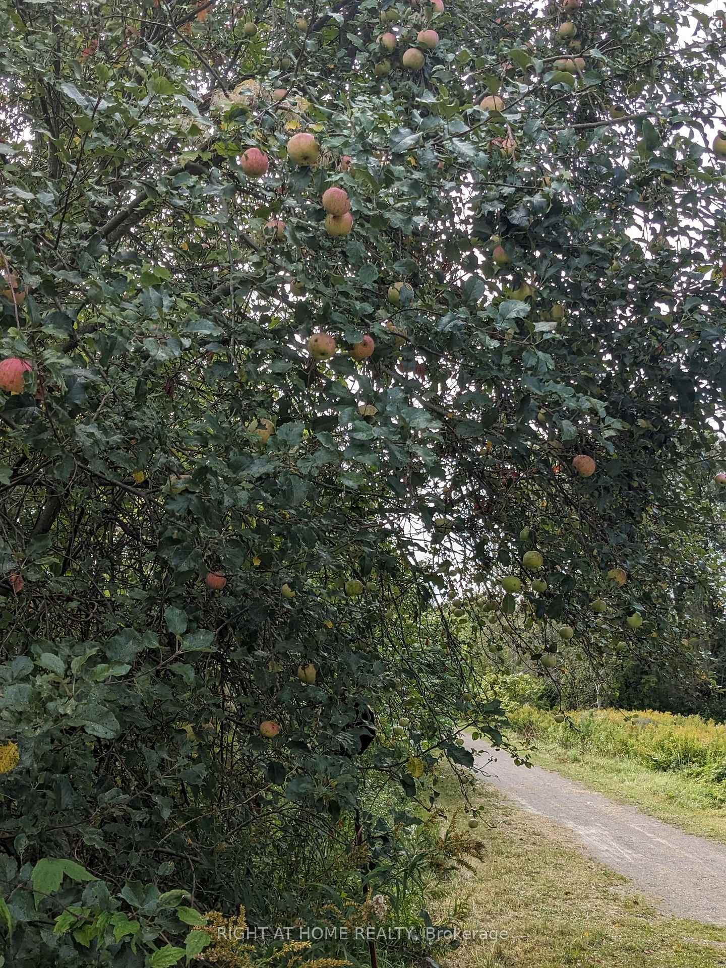Photo 25 of 12879 County 16 Road, Severn, Fesserton — HOMEH