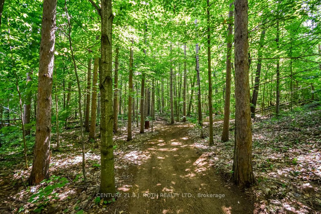 Photo 40 of 2357 South Orr Lake Road, Springwater, Rural Springwater — HOMEH