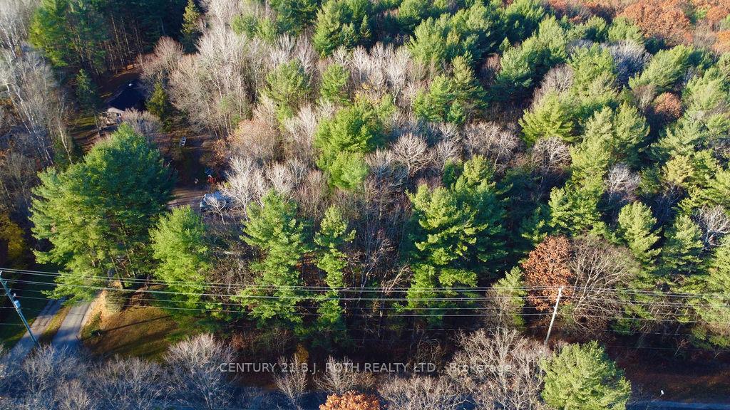 Photo 5 of 4050 PT Wainman Line, Severn, Bass Lake — HOMEH