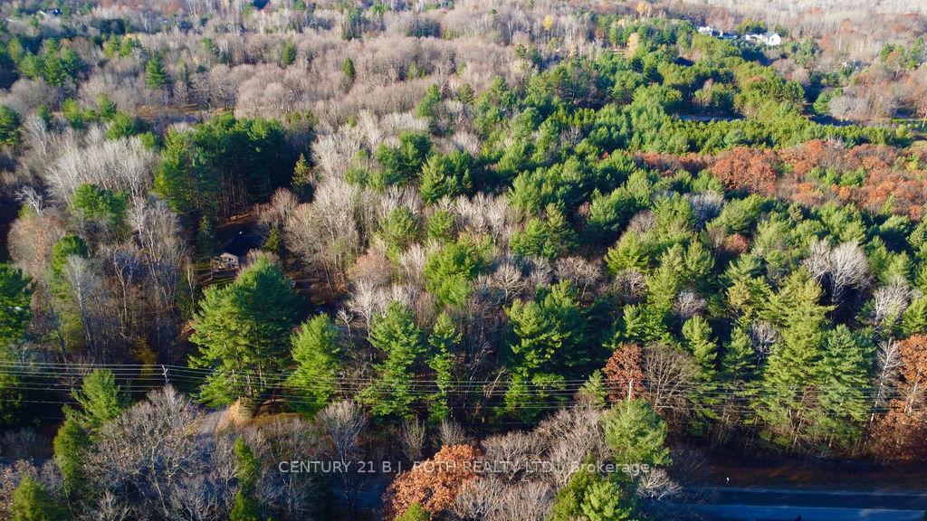 Photo 6 of 4050 PT Wainman Line, Severn, Bass Lake — HOMEH