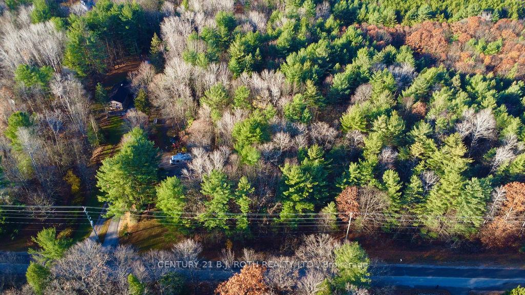Photo 7 of 4050 PT Wainman Line, Severn, Bass Lake — HOMEH