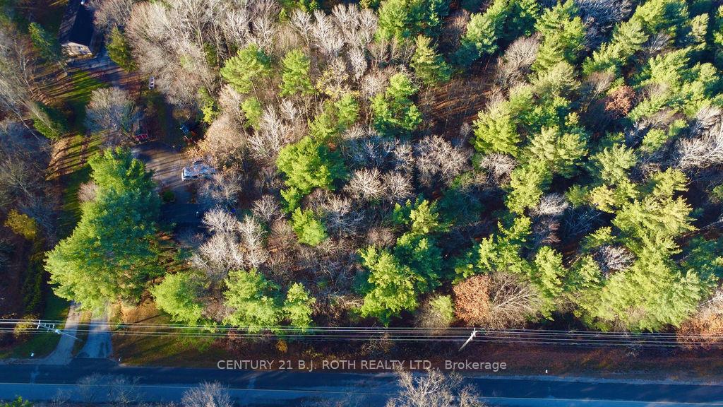 Photo 8 of 4050 PT Wainman Line, Severn, Bass Lake — HOMEH