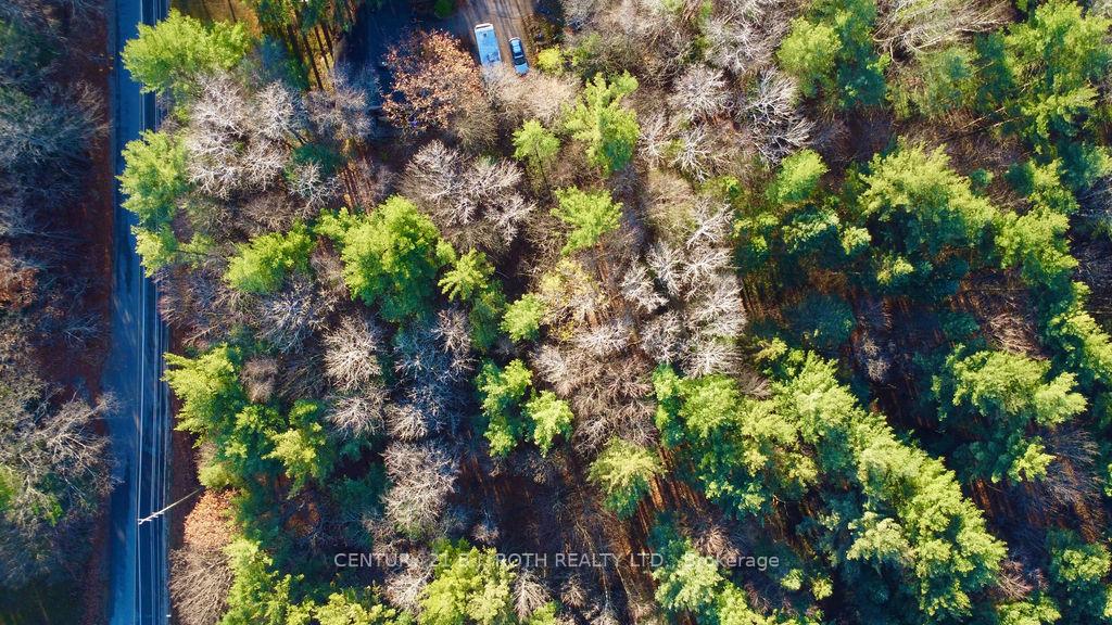 Photo 9 of 4050 PT Wainman Line, Severn, Bass Lake — HOMEH