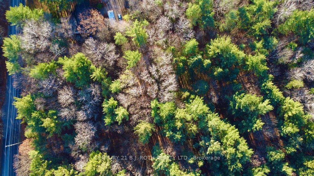 Photo 10 of 4050 PT Wainman Line, Severn, Bass Lake — HOMEH