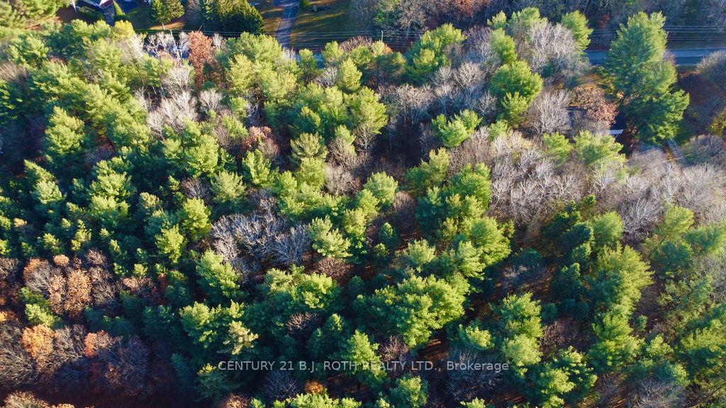 Photo 12 of 4050 PT Wainman Line, Severn, Bass Lake — HOMEH