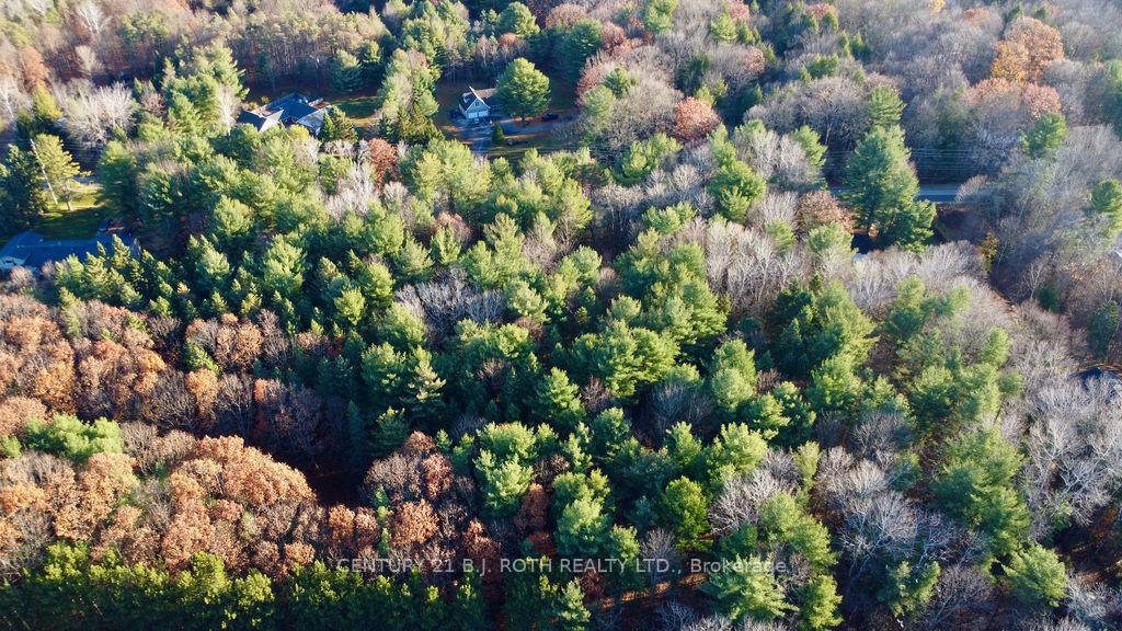 Photo 13 of 4050 PT Wainman Line, Severn, Bass Lake — HOMEH