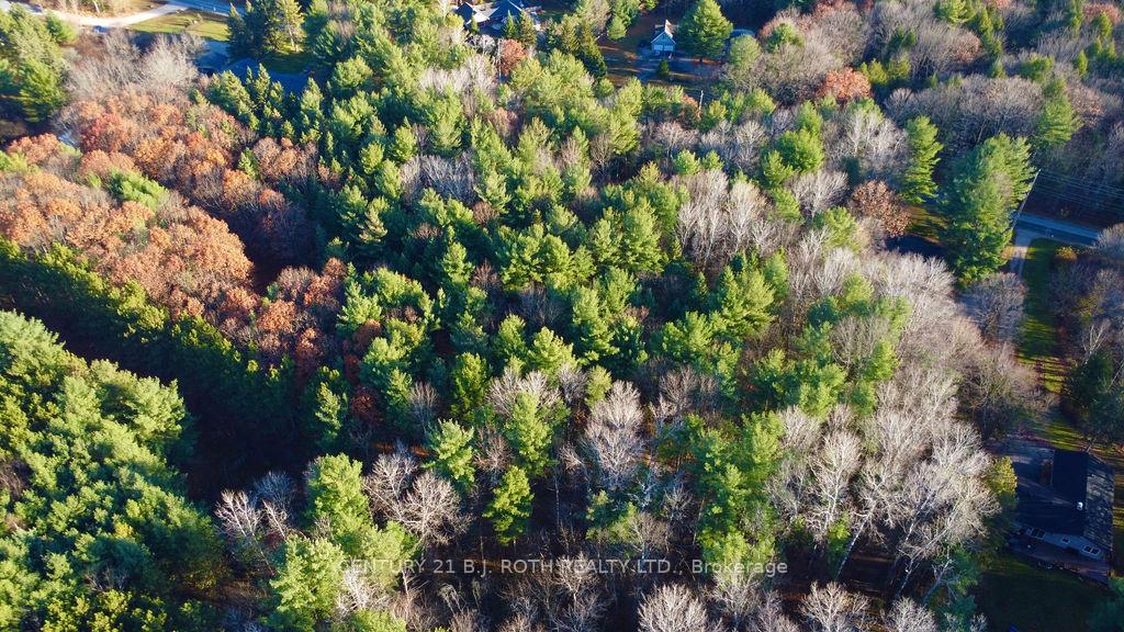 Photo 14 of 4050 PT Wainman Line, Severn, Bass Lake — HOMEH