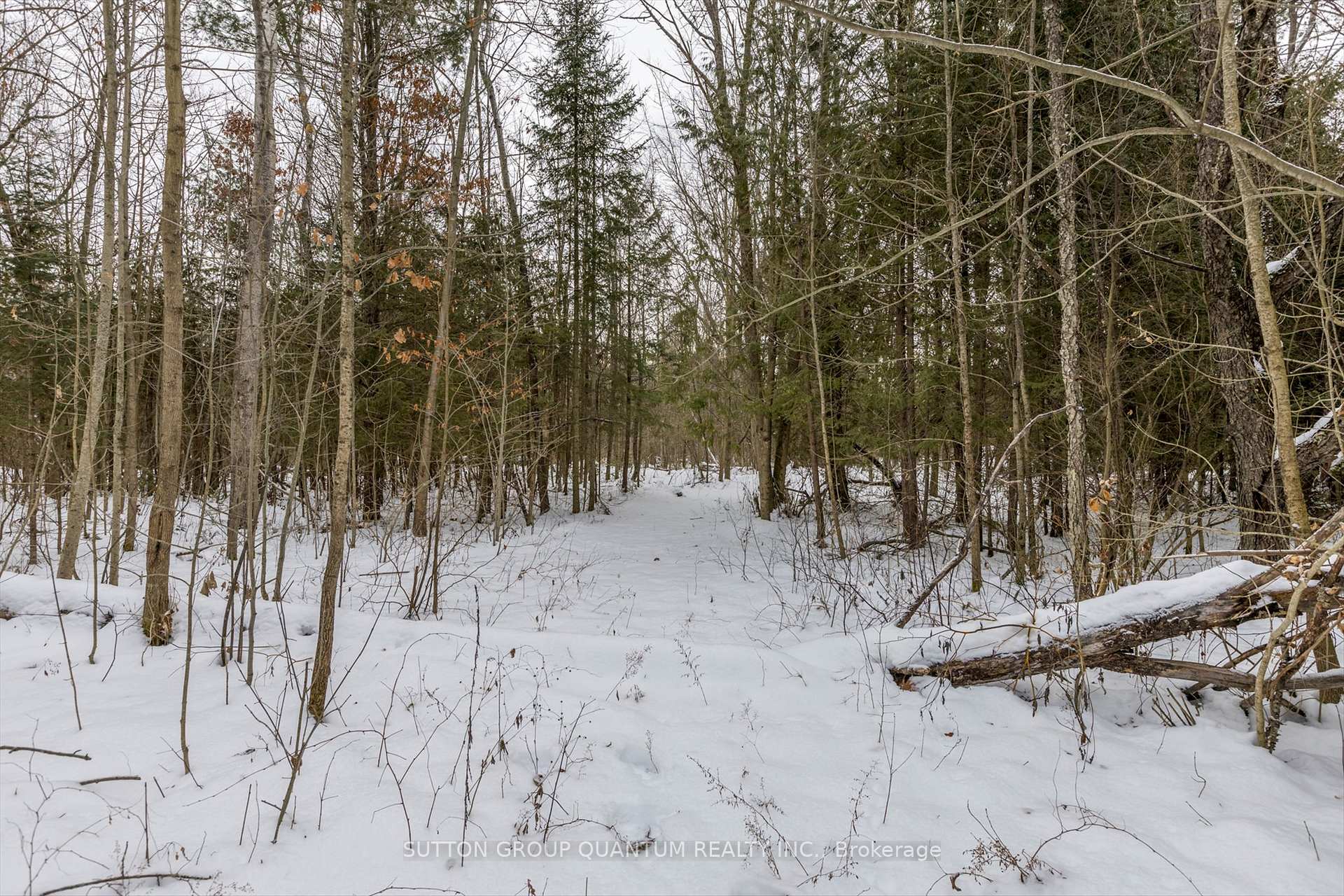 Photo 30 of 3003 Clear Lake Road, Selwyn — HOMEH